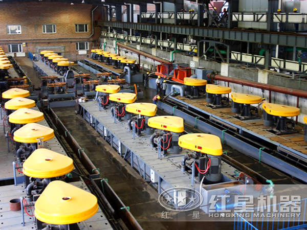 ��ѡ����