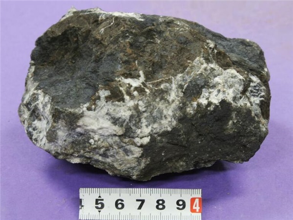 �̿���ĥ��-�̿���ĥ���۸�